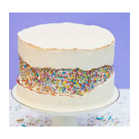 Fault Line Bento Cake Decorating Class