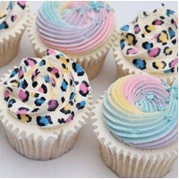 'Rainbow Leopard' Bento and Cupcakes Cake Decorating Class* Wed, 4th March 