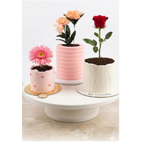 Mini Flower Pot Cake Decorating Class