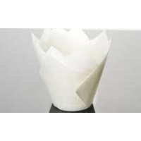 White Tulip Cupcake Liner Wide Baking Cups large -200/Pack
