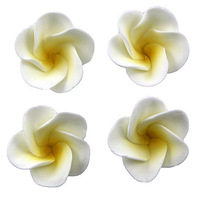 Edible Frangipani Sugar Decorations  30mm - 6 Pieces