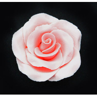 Pink Fondant Rose Large 50 mm  Each