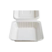 Sugarcane Dinner Box Container Small 8x8 - 50/Sleeve