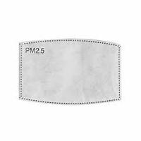 Face Mask Filter pad - 2pk