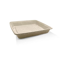 Medium Sugarcane Platter 12 inch square base - each