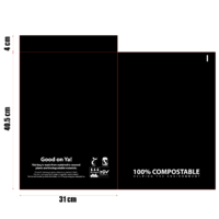 X Large Compostable Mailer Bag 31x40.5 x4 cm - 10 Pack