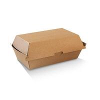 Kraft Brown Corrugated Snack Box Regular - 100 sl- (2) (PCB6)