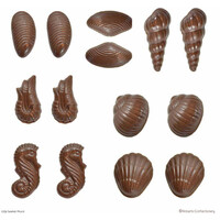 3D Sea Shells  Mould with Recipe Card