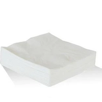  Lunch Napkins White 2-Ply 1/4 fold