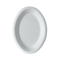 Oval Plates Sugarcane 10x8 inch 