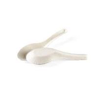  Chinese Soup Spoons Sugarcane -100pk