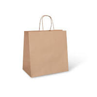 Uber Style Kraft Paper Bags 305w x 256h x 178L (approx. size) - 25/Sleeve