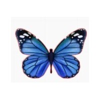 Blue Butterflies on Edible Wafer Paper- 12 pcs