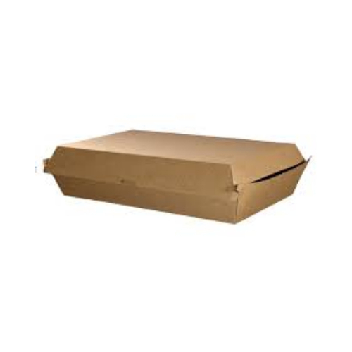 CTN Family Box Cardboard Brown -100/Carton