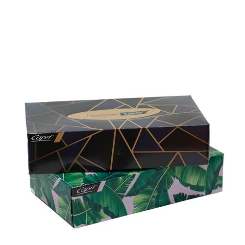 2PLY Facial tissue - 100 sheet (48)