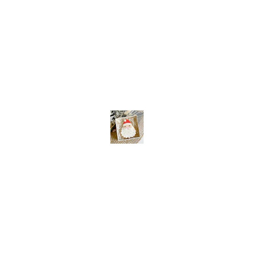 Santa Stamp and Cutter Set (Little Biskut)