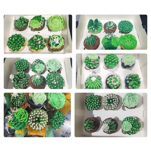 Succulents Cupcake Decorating Class