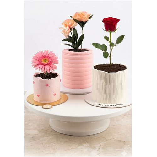 Mini Flower Pot Cake Decorating Class