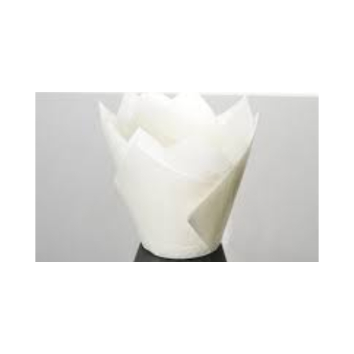 White Tulip Cupcake Liner Wide Baking Cups large -200/Pack