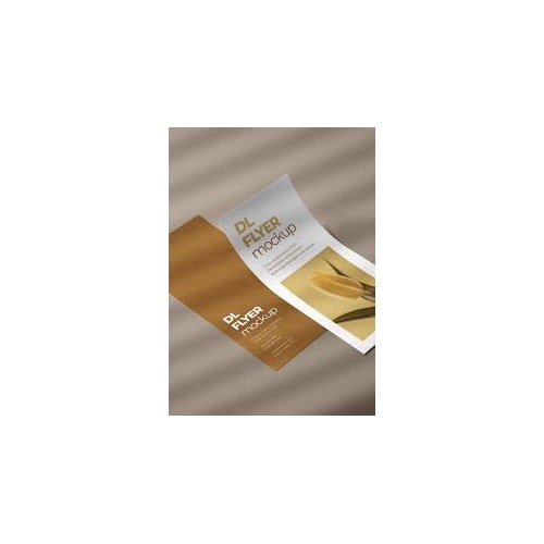 Printed Flyers - DL Size