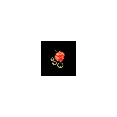 Carnation Flower Cutter Set - 3 Piece