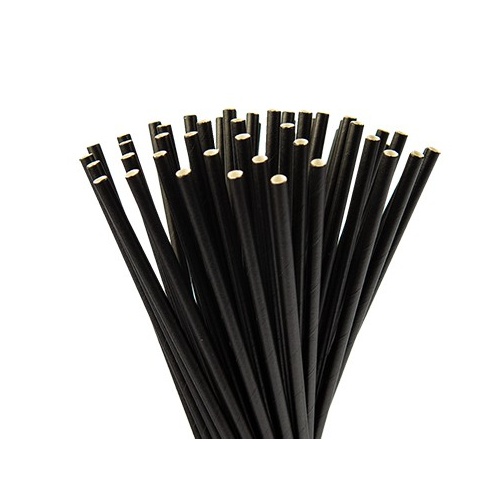 Black Regular Paper Straw 6mm  - 250pk 