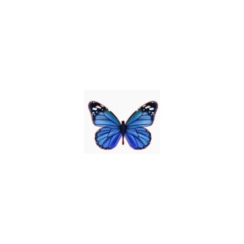 Blue Butterflies on Edible Wafer Paper- 12 pcs