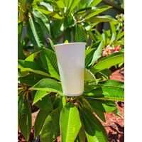 Home Compostable Cups: Understanding Aqueous vs. PLA Cup Linings main image